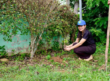 โครงการอาสาสมัครสหกรณ์ กิจกรรมพัฒนาอาสาสมัครสหกรณ์ ณ ... พารามิเตอร์รูปภาพ 97